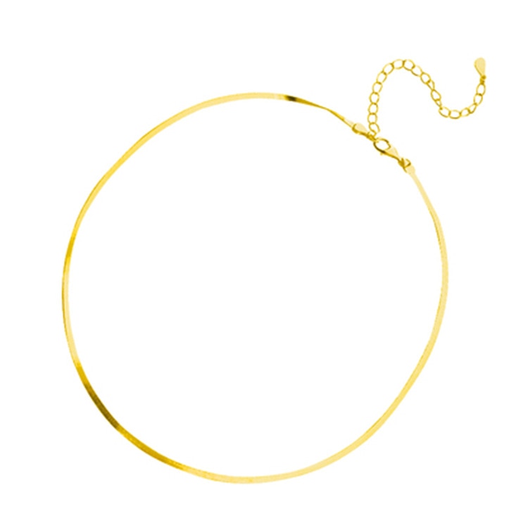 Elegante Schlangenknochenkette Aus Echtem Silber