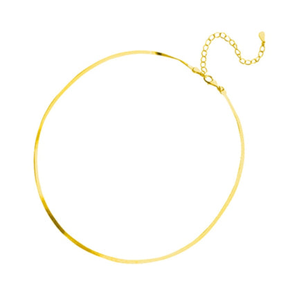 Elegante Schlangenknochenkette Aus Echtem Silber