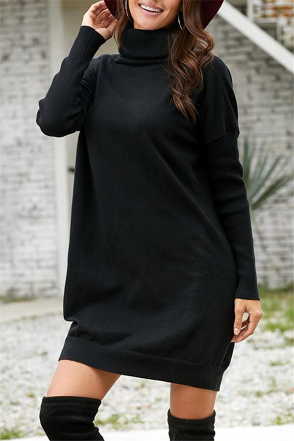 Pulloverkleid Mit Hohem Kragen Und Gürtel