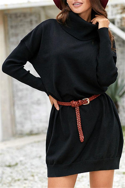 Pulloverkleid Mit Hohem Kragen Und Gürtel