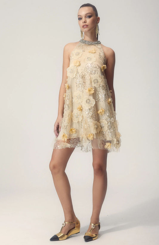 Minikleid Mit Blumenstickerei Und Lagenmuster